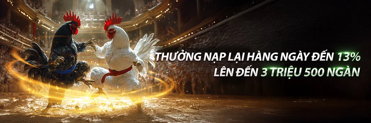 Đội ngũ 6686bet nhà cái đang thảo luận về tầm nhìn tương lai