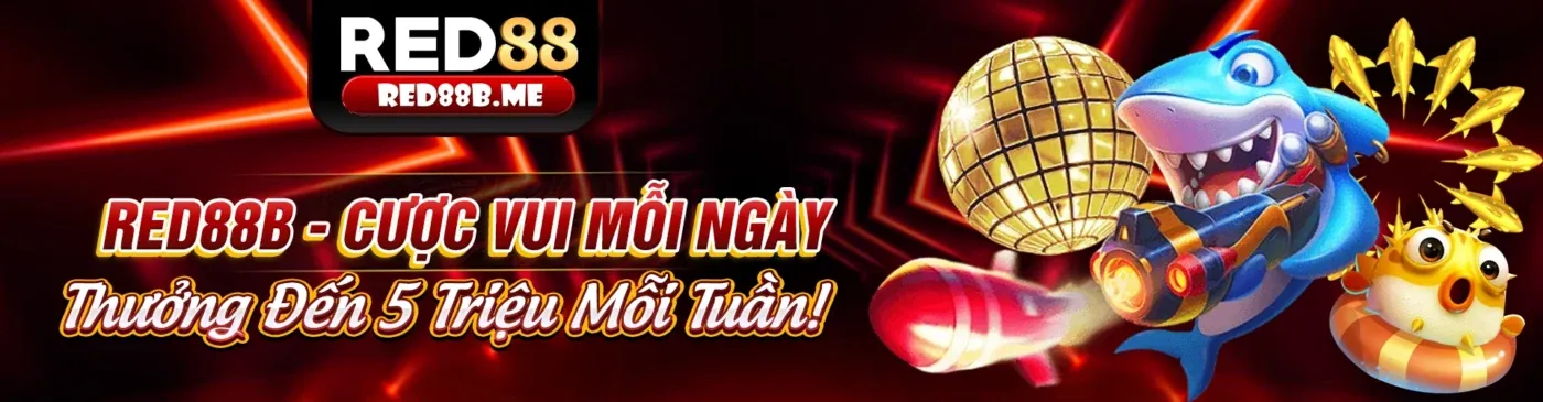 Tổng quan nền tảng 6686bet nhà cái